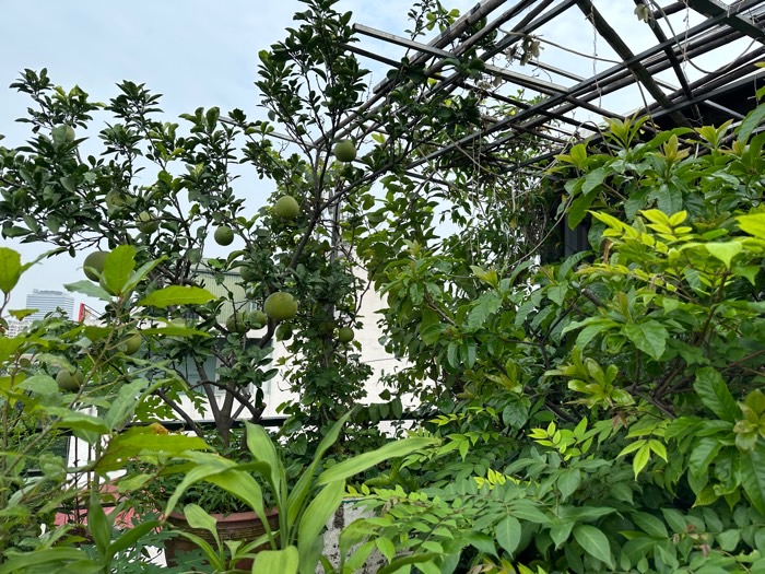 Bán nhà Hồ Đắc Di - diện tích 57m2 7 tầng - MẶT PHỐ - MẶT HỒ - giá 50 tỷ