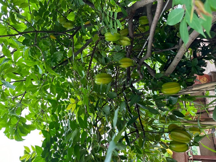 Bán nhà Hồ Đắc Di - diện tích 57m2 7 tầng - MẶT PHỐ - MẶT HỒ - giá 50 tỷ