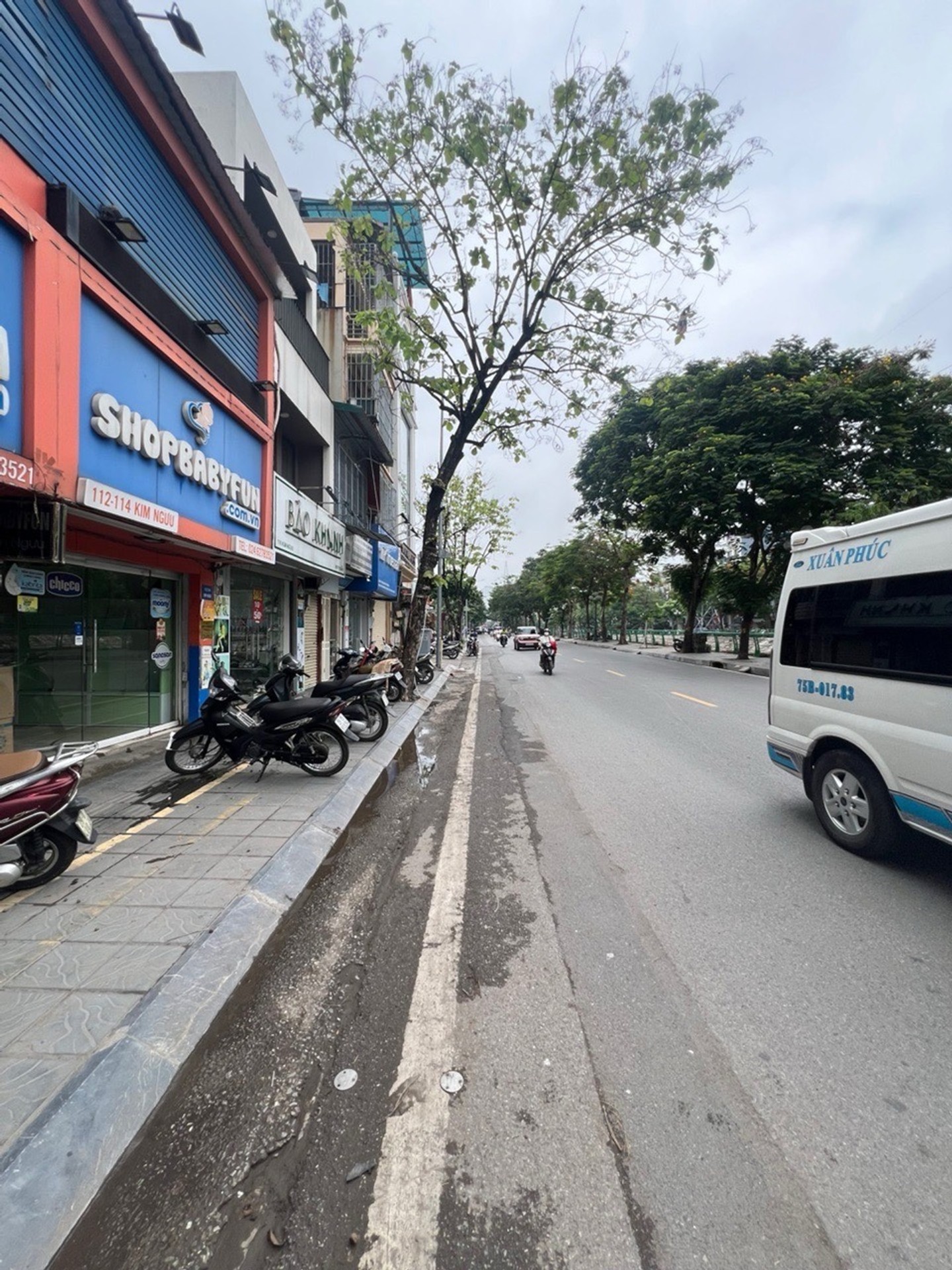 Ảnh đại diện