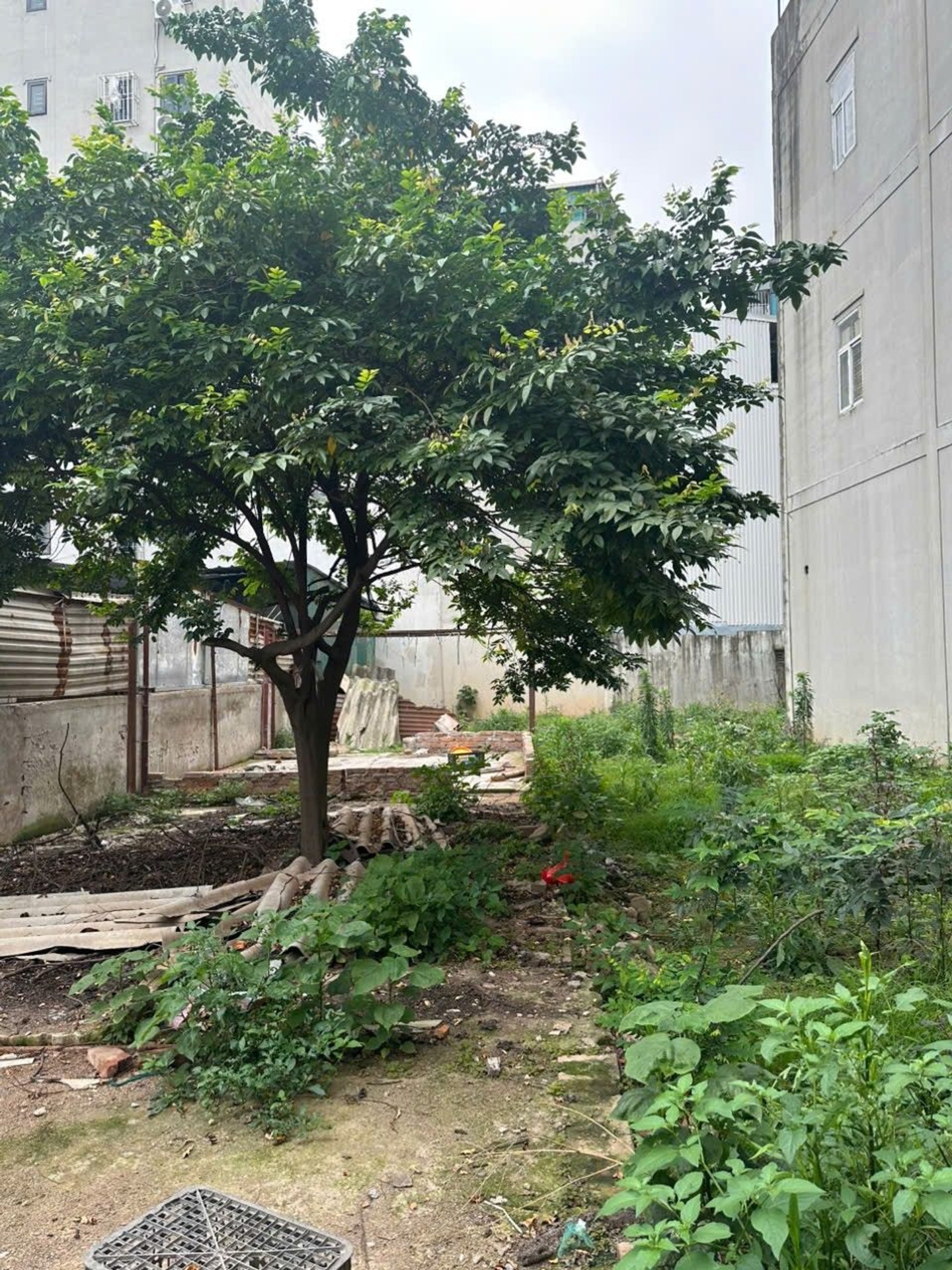 Bán nhà Phan Trọng Tuệ - diện tích 222m2 1 tầng - mặt tiền 6,4m - giá 40,5 tỷ