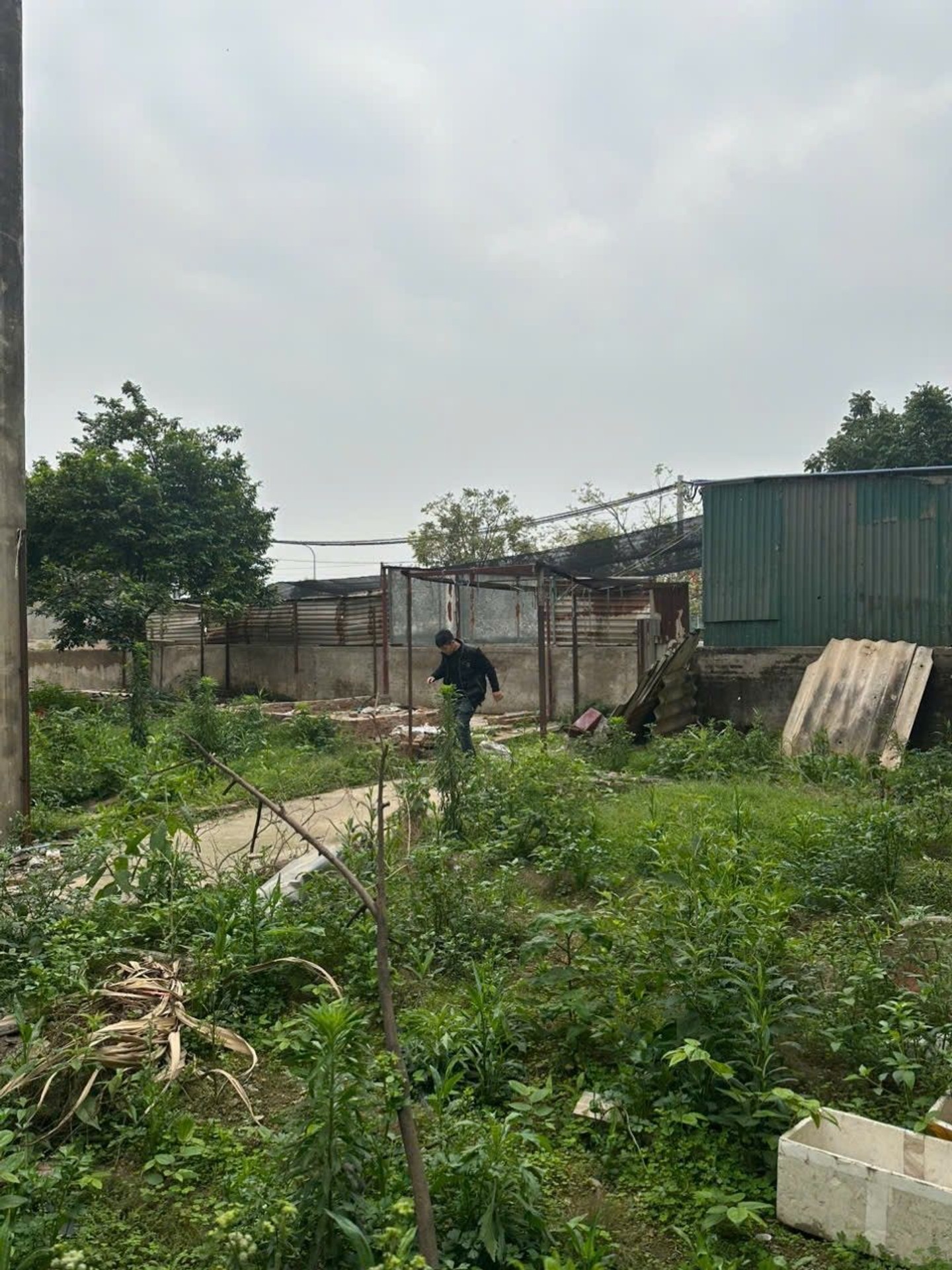 Bán nhà Phan Trọng Tuệ - diện tích 222m2 1 tầng - mặt tiền 6,4m - giá 40,5 tỷ