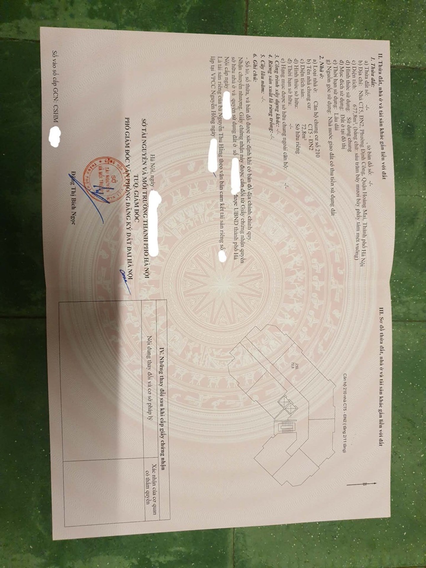 Ảnh đại diện