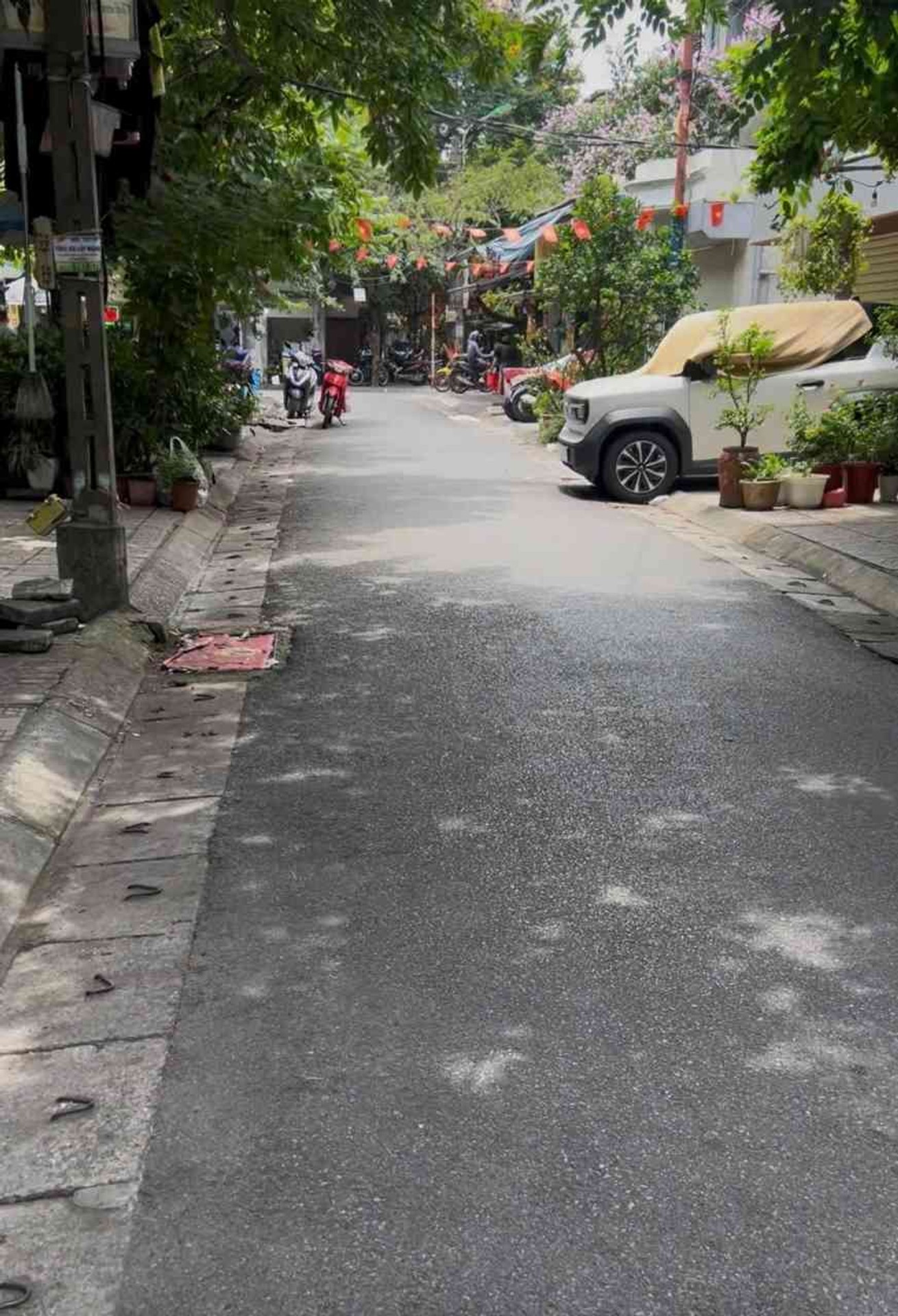Ảnh đại diện