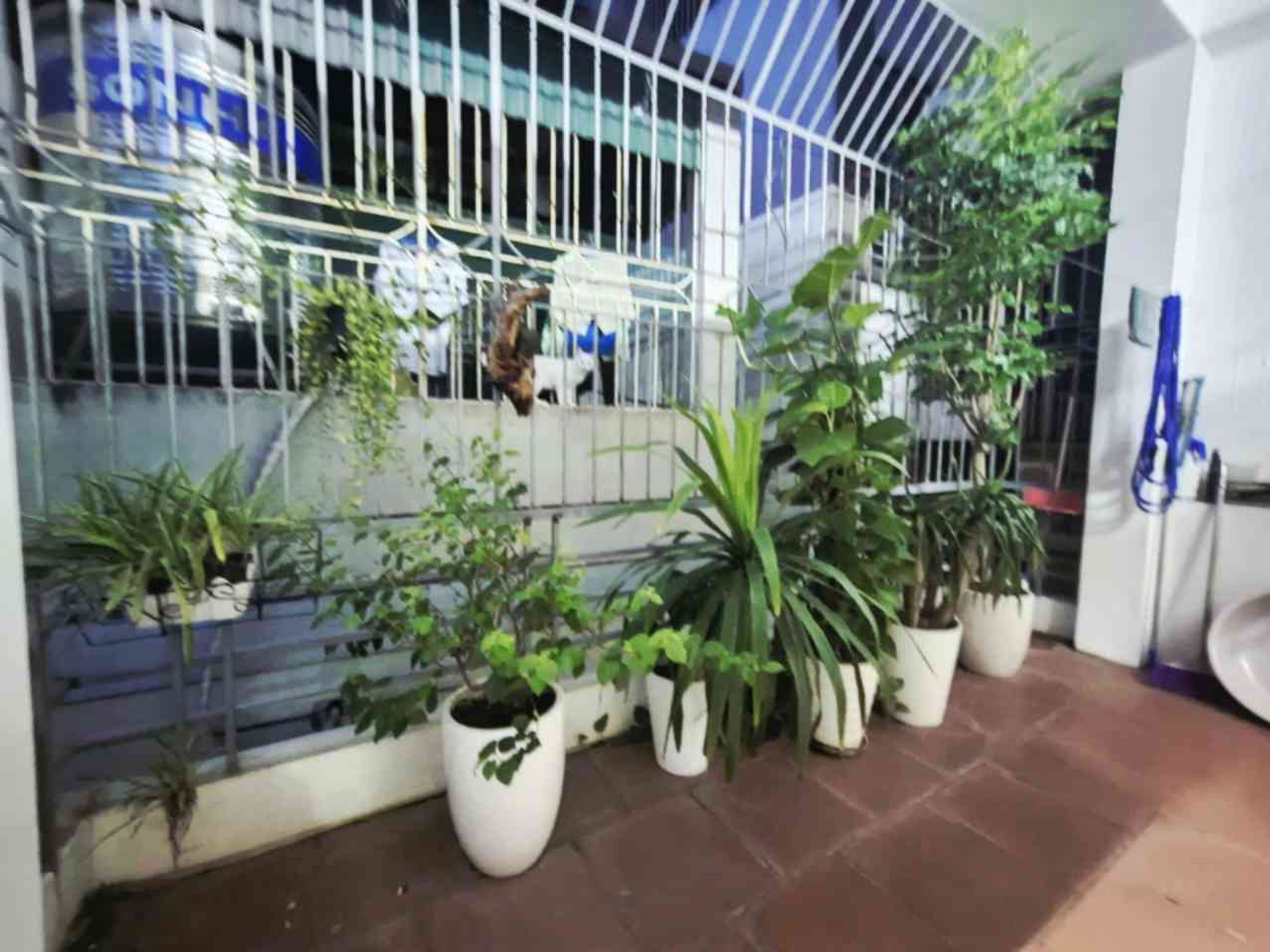 Bán nhà Kim Giang - diện tích 39m2 4 tầng - Nhà đẹp như khách sạn - giá 10,7 tỷ