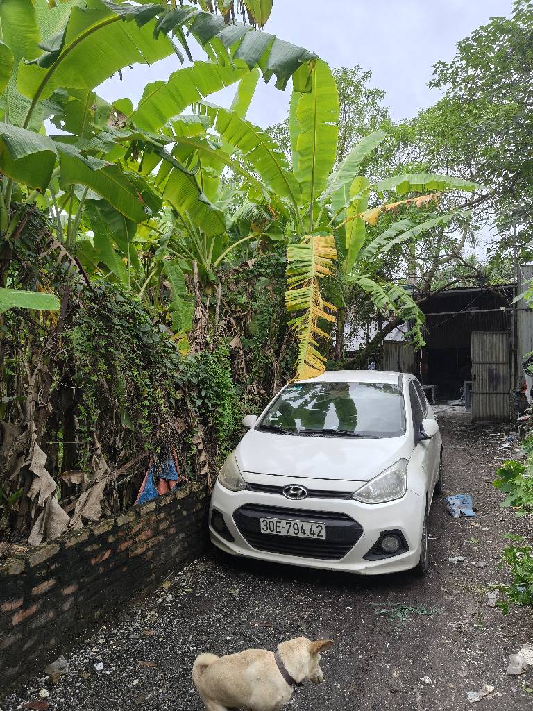 Bán nhà Thúy Lĩnh - diện tích 50m2 1 tầng - ô tô vào đất - giá 0,75 tỷ