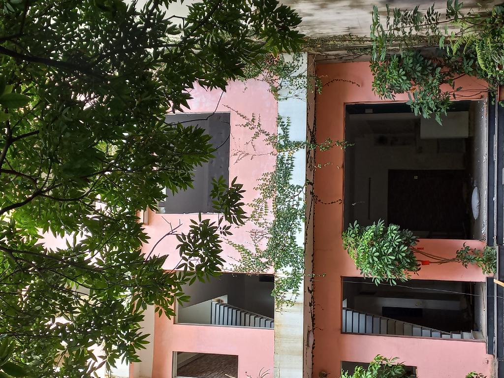 Bán nhà Bùi Quốc Khái - diện tích 130m2 3 tầng - Phân lô ô tô tránh - giá 39,9 tỷ