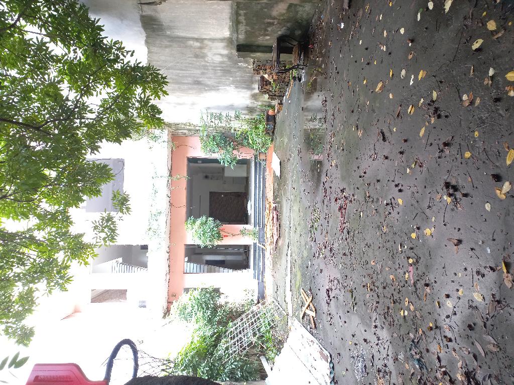 Bán nhà Bùi Quốc Khái - diện tích 130m2 3 tầng - Phân lô ô tô tránh - giá 39,9 tỷ