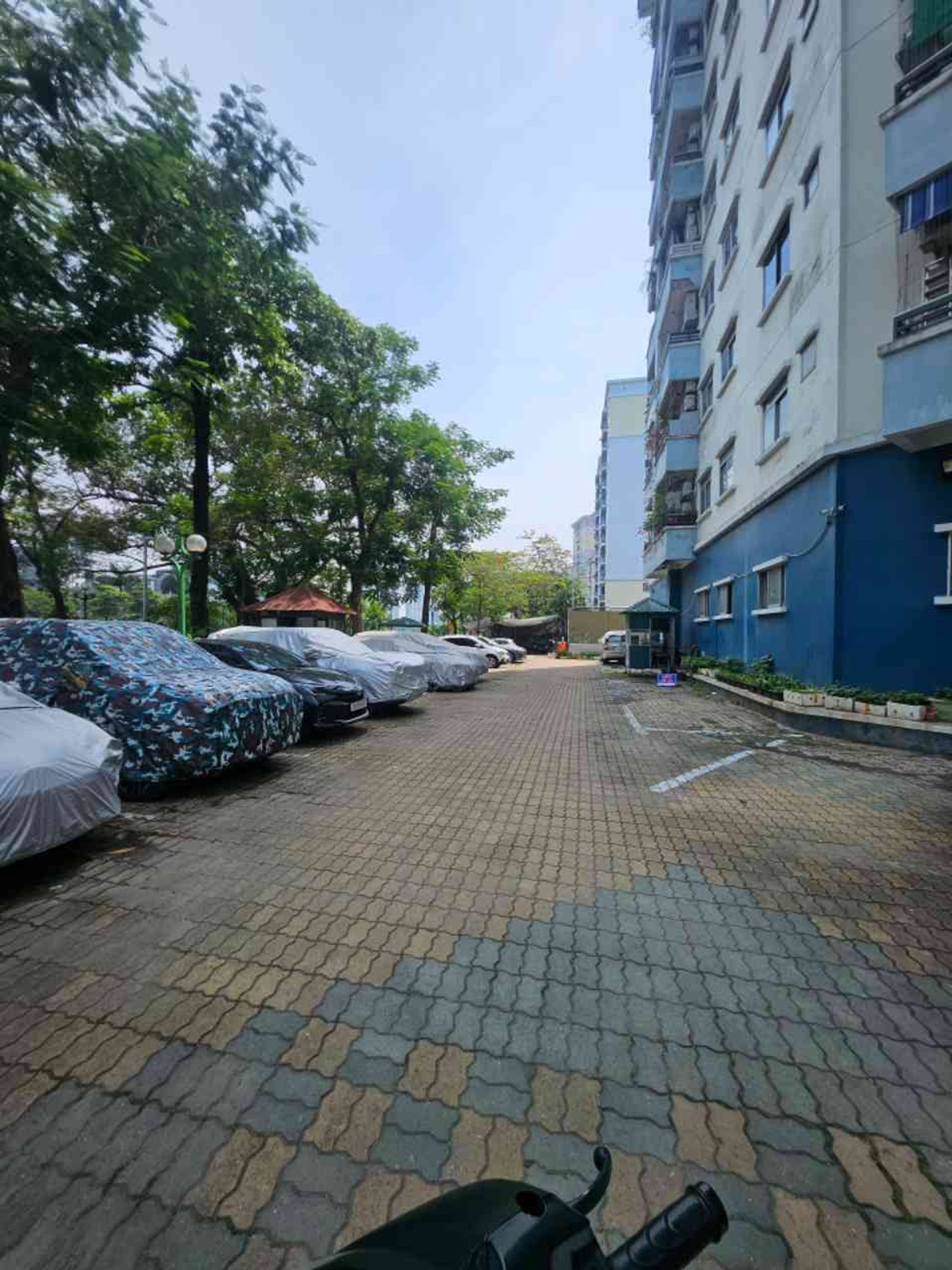Ảnh đại diện