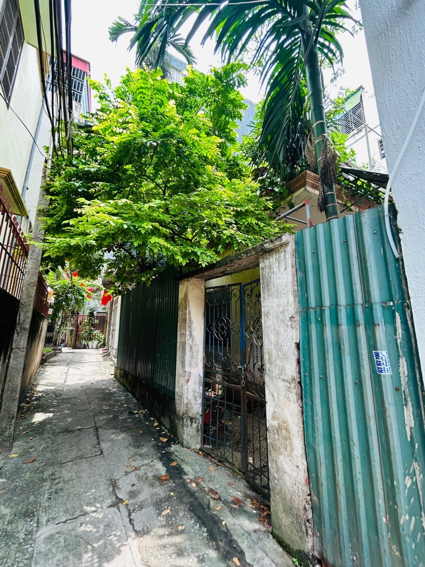 Ảnh đại diện