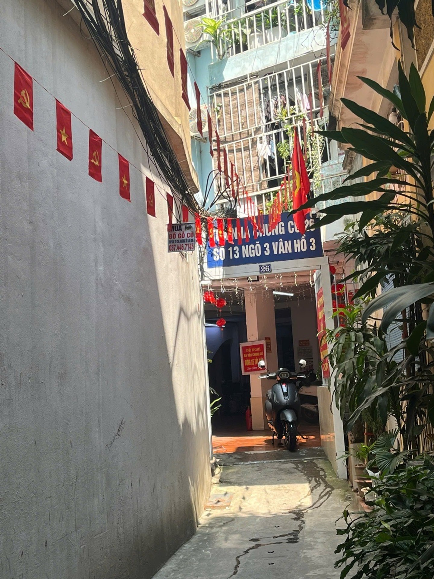 Ảnh đại diện