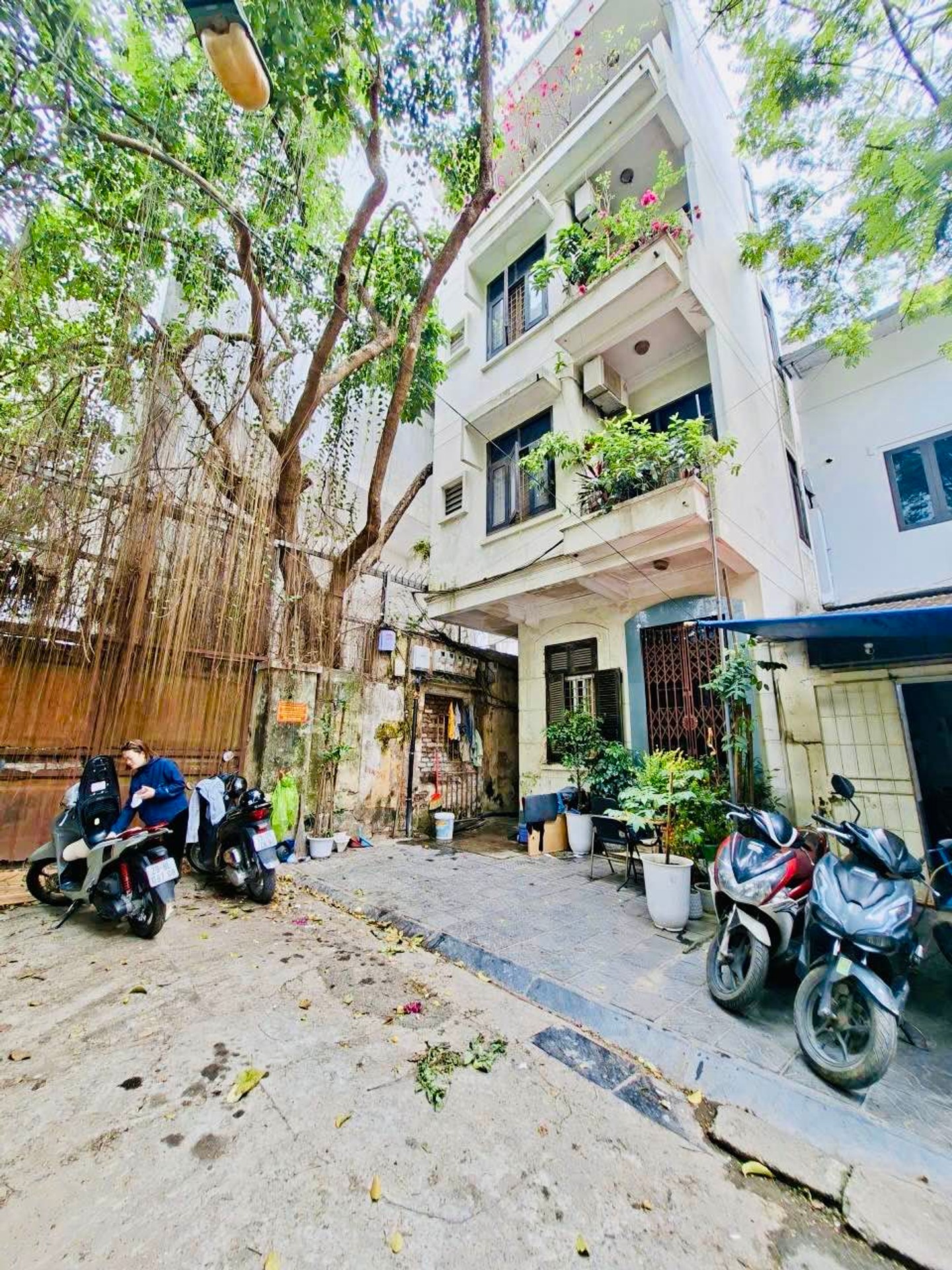 Ảnh đại diện