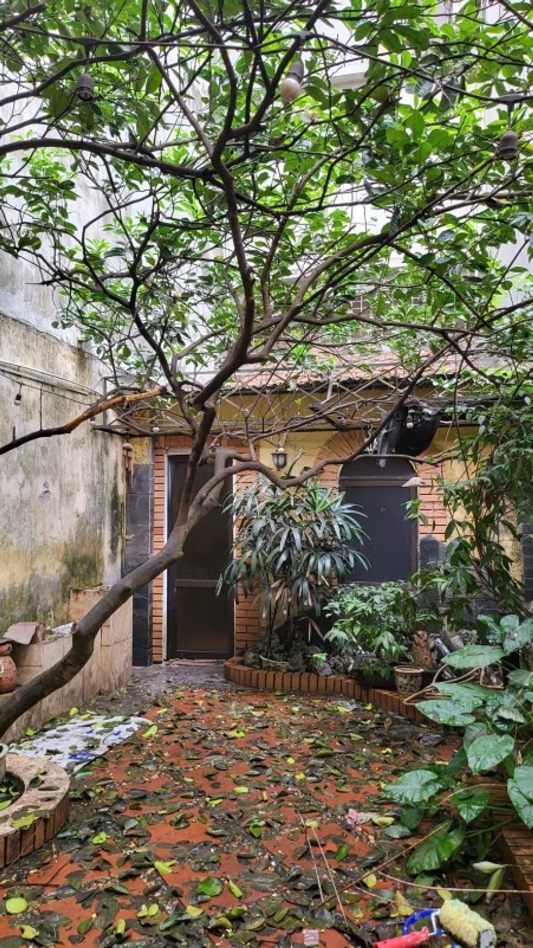 Bán nhà Lê Trọng Tấn - diện tích 138m2 3 tầng - Ô tô tránh vào nhà - giá 40 tỷ