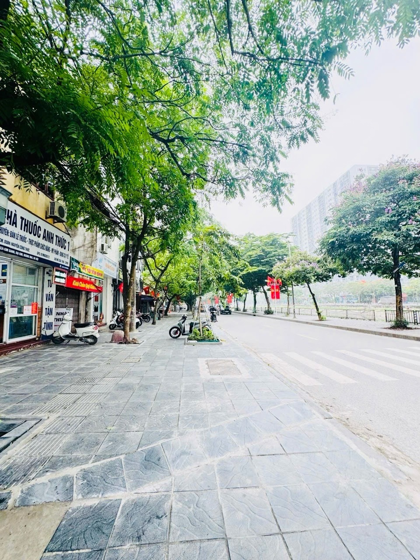 Ảnh đại diện