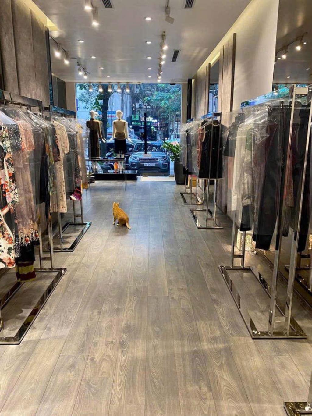 Bán nhà Lý Thường Kiệt - diện tích 95m2 6 tầng - 3 mặt thoáng - giá 118 tỷ