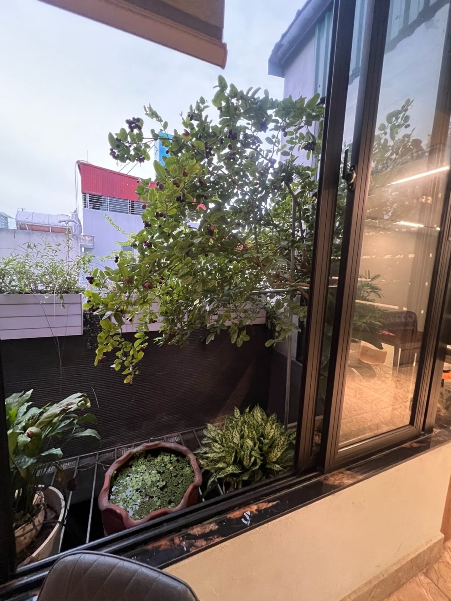 Bán nhà Kim Giang - diện tích 185m2 6 tầng - THANG MÁY - giá 85 tỷ