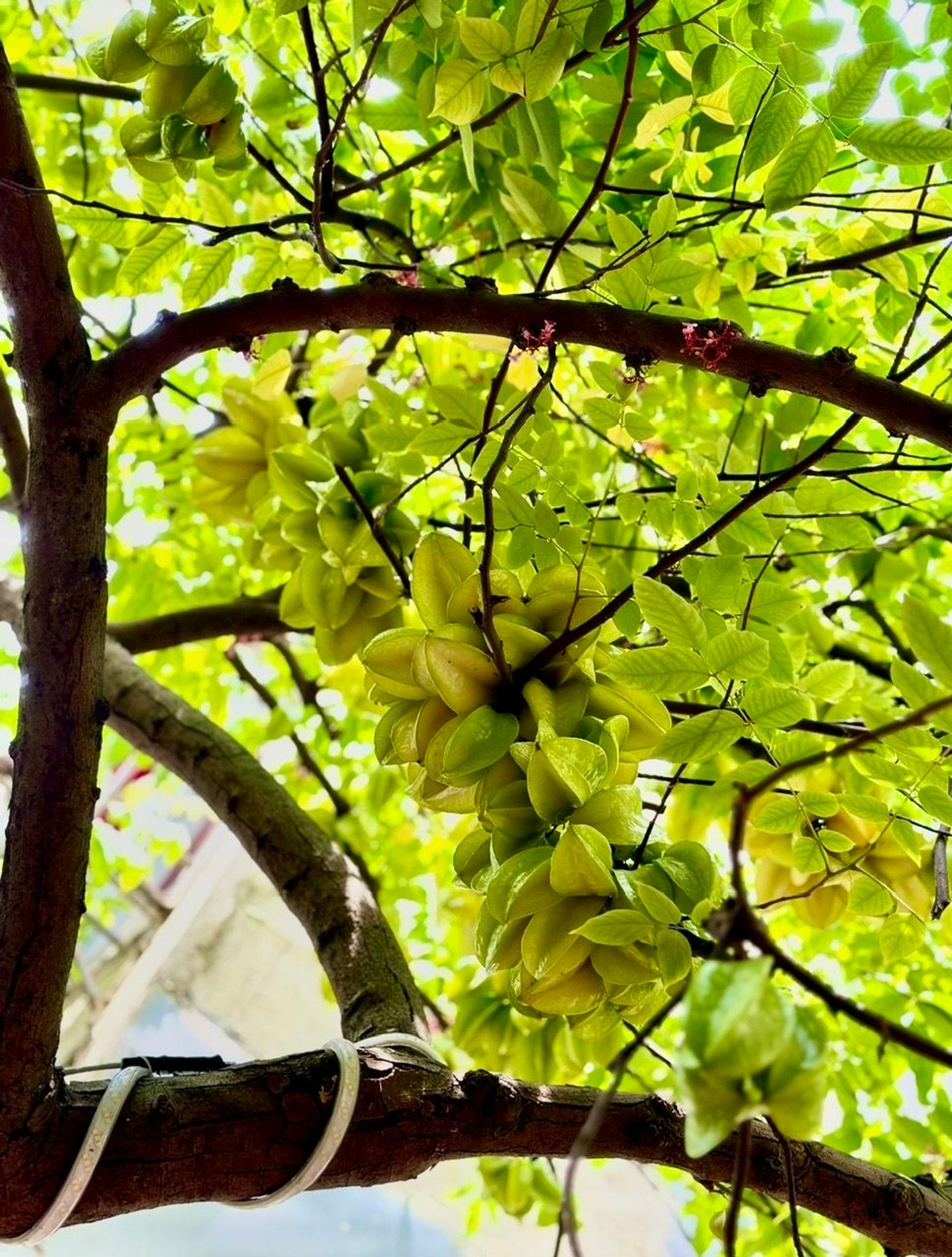 Bán nhà Lê Thanh Nghị - diện tích 133.4m2 3 tầng - Lô góc 3 mặt thoáng - giá 28 tỷ