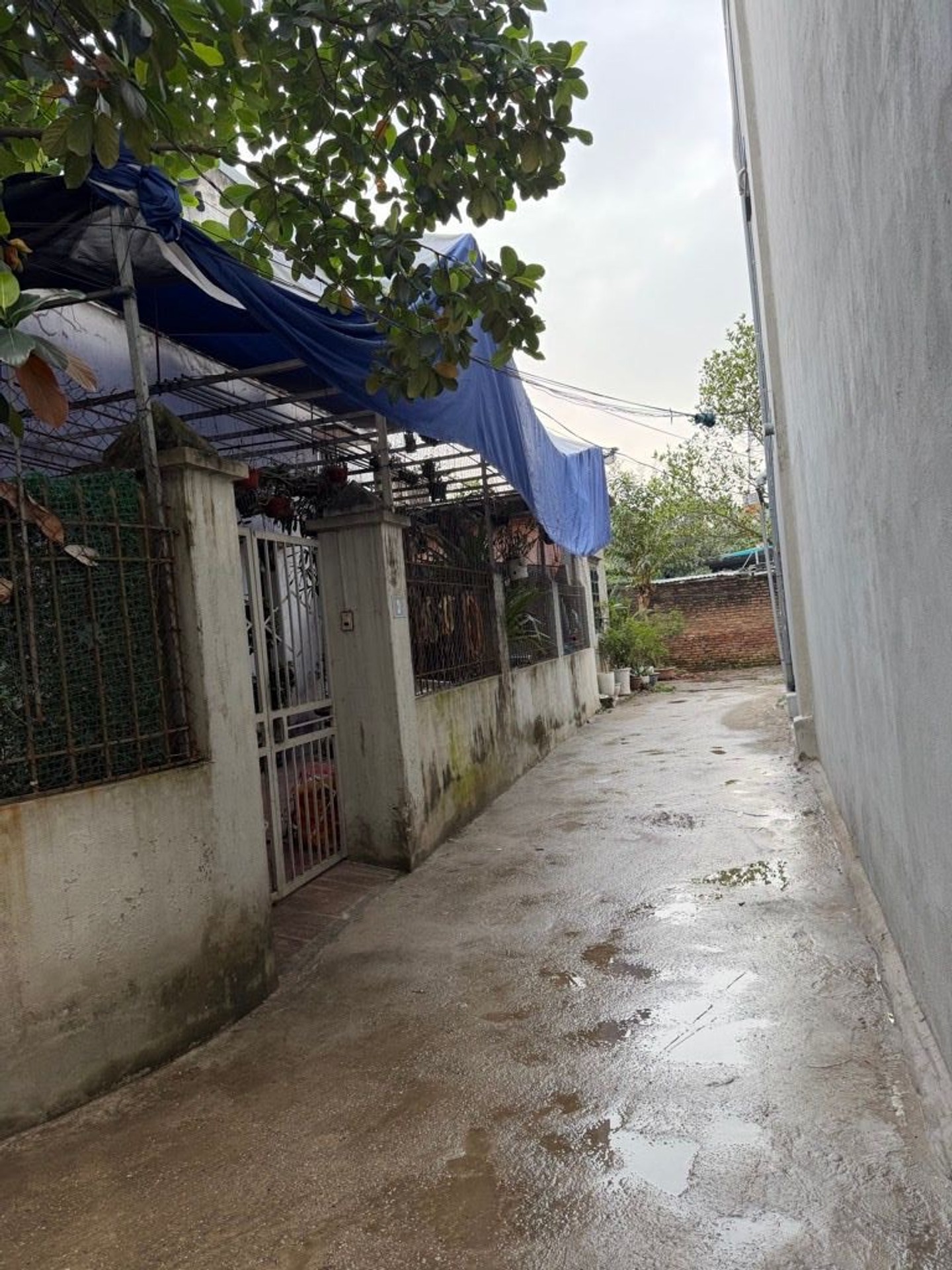 Bán nhà Ngũ Nhạc - diện tích 63m2 1 tầng - Mảnh đất vàng - giá 6,4 tỷ