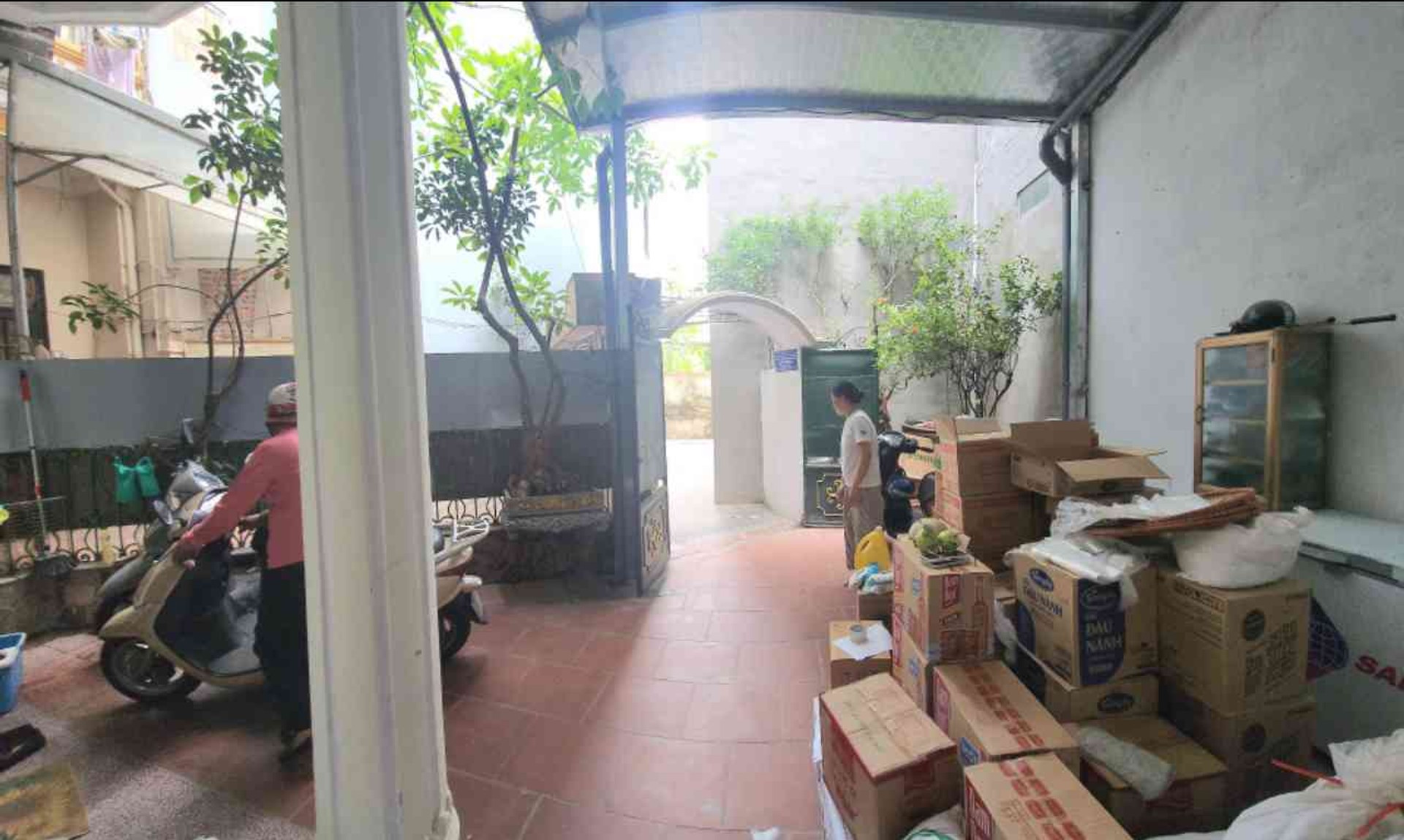 Ảnh đại diện