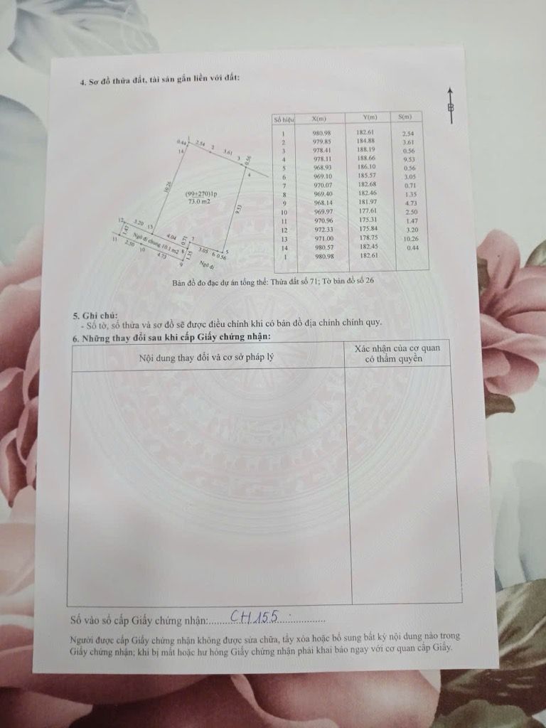 Ảnh đại diện