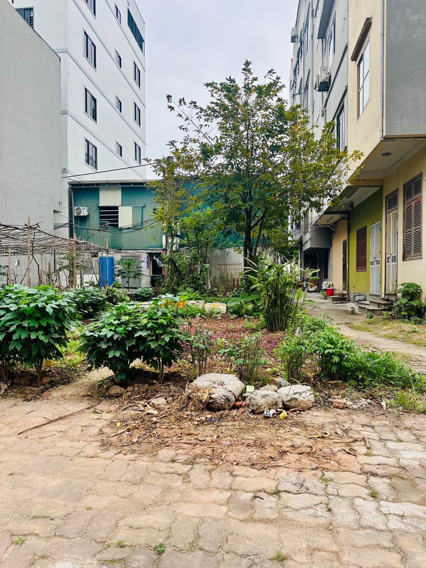 Bán nhà Ngõ 3 ô tô tránh - diện tích 80m2 0 tầng - Lô góc 3 mặt thoáng - giá 27 tỷ