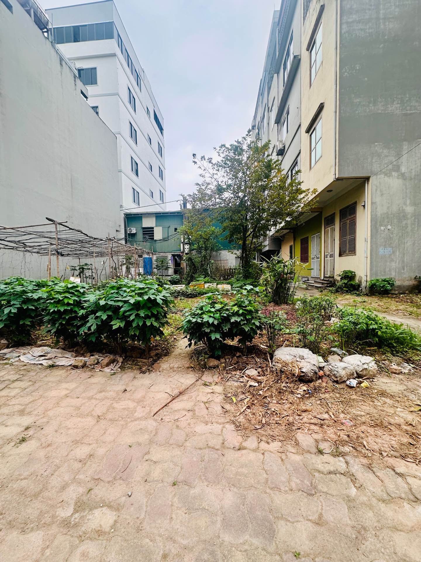 Bán nhà Ngõ 3 ô tô tránh - diện tích 80m2 0 tầng - Lô góc 3 mặt thoáng - giá 27 tỷ