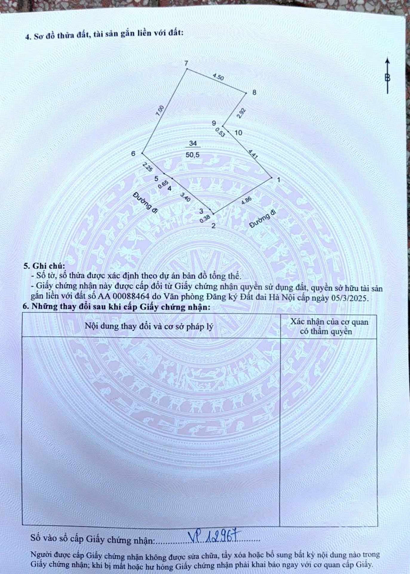 Ảnh đại diện