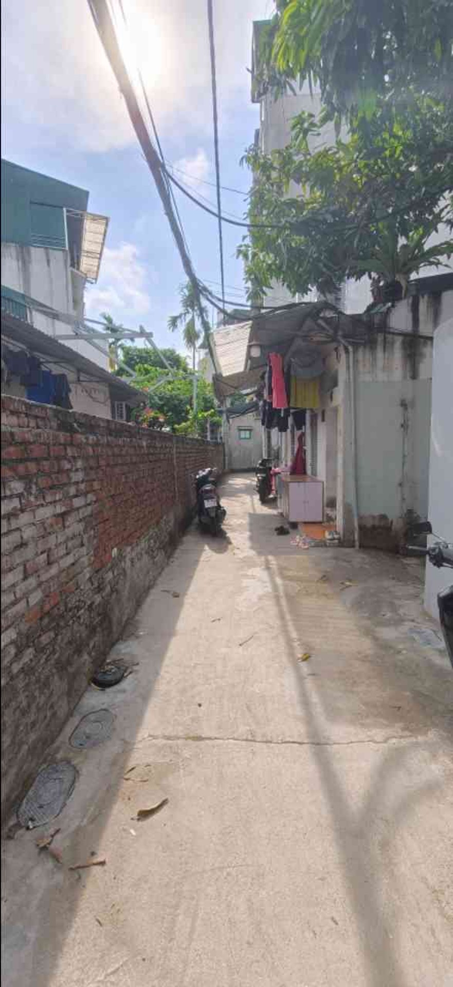 Ảnh đại diện