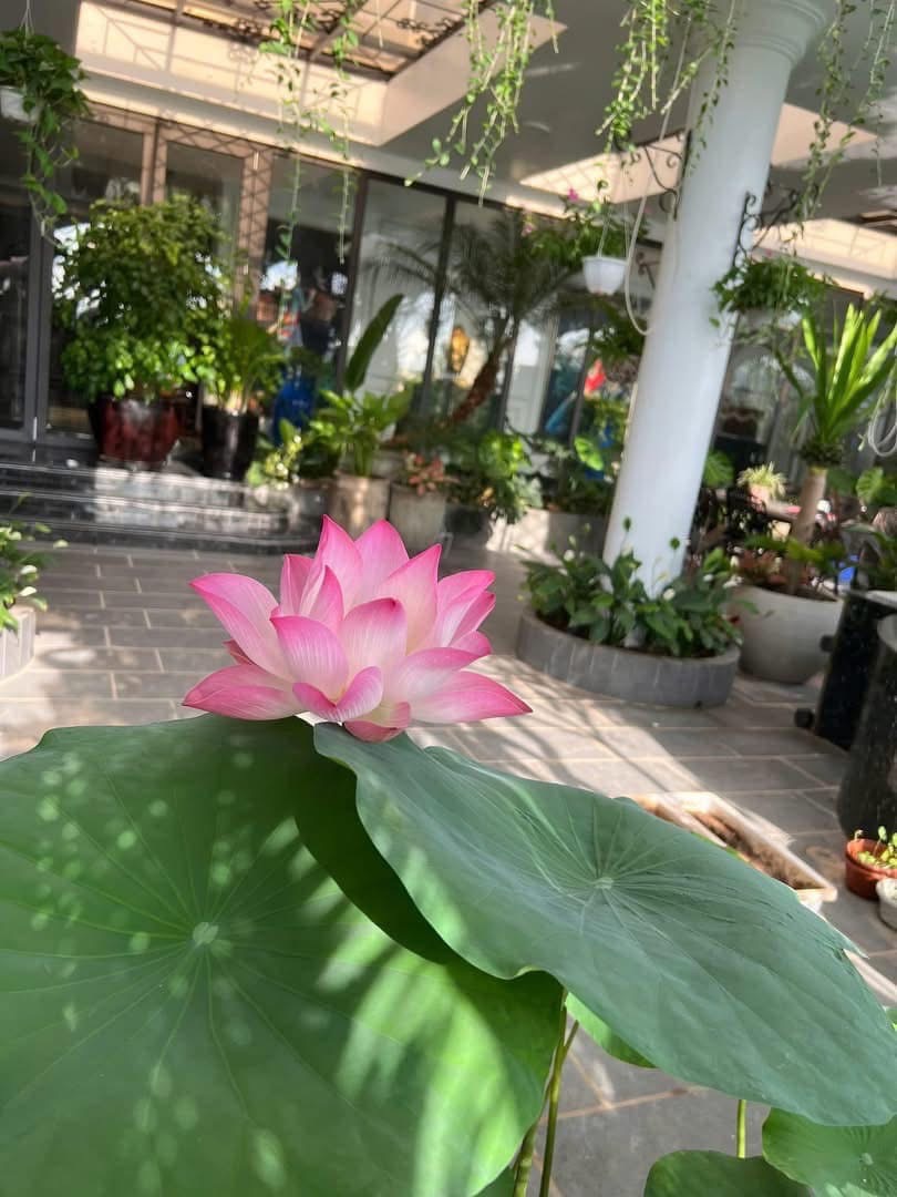 Bán nhà Minh Khai - diện tích 500m2 21 tầng - Căn Penhouse độc nhất vô nhị - giá 48 tỷ