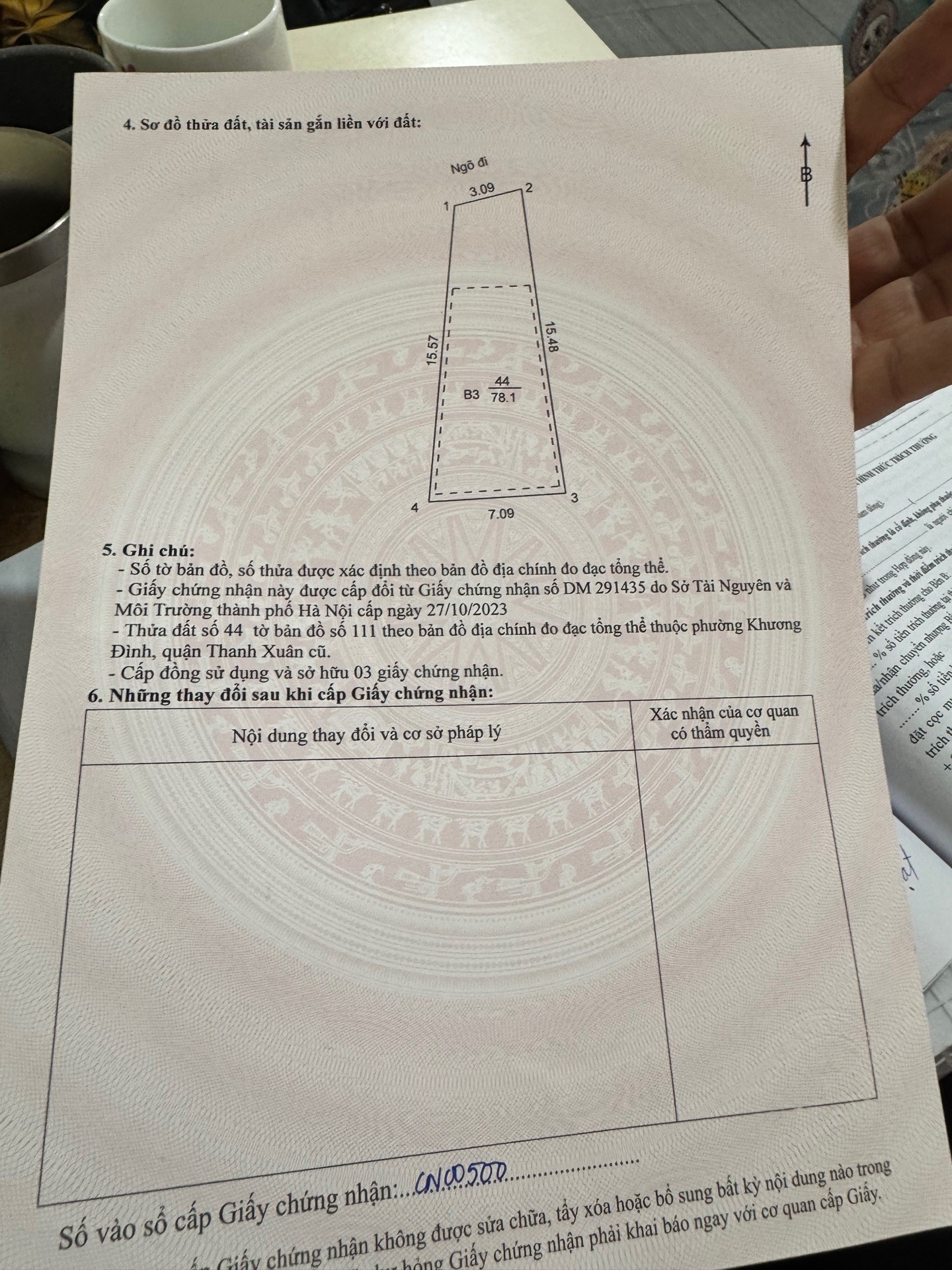 Ảnh đại diện