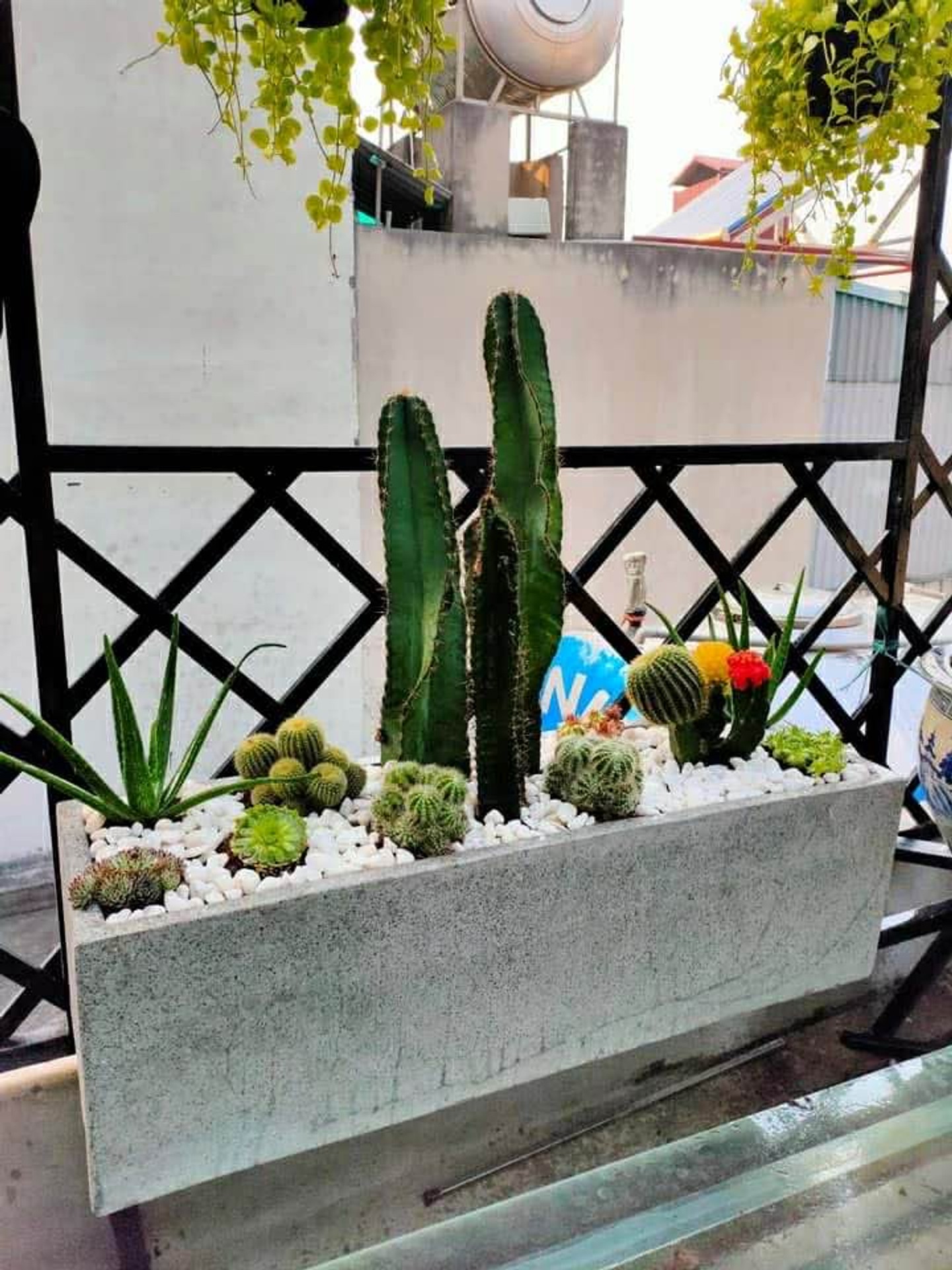 Bán nhà Hồng Mai - diện tích 16m2 5 tầng - Ô tô đỗ cửa - giá 7,2 tỷ