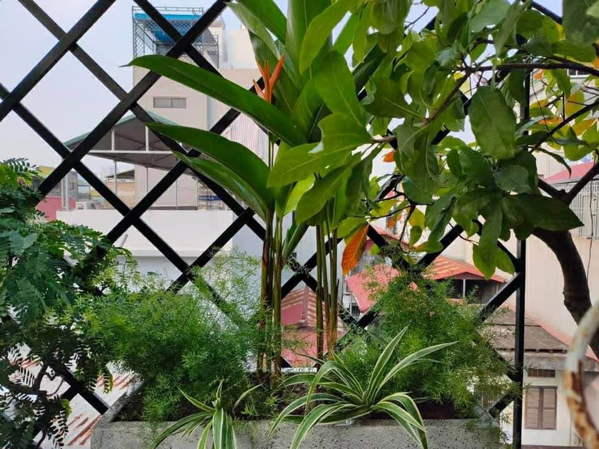 Bán nhà Hồng Mai - diện tích 16m2 5 tầng - Ô tô đỗ cửa - giá 7,2 tỷ