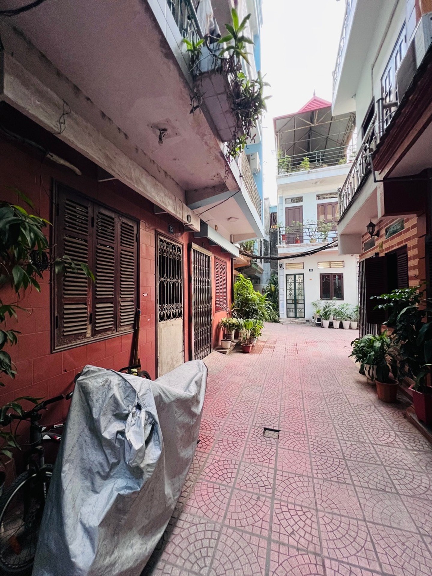 Ảnh đại diện