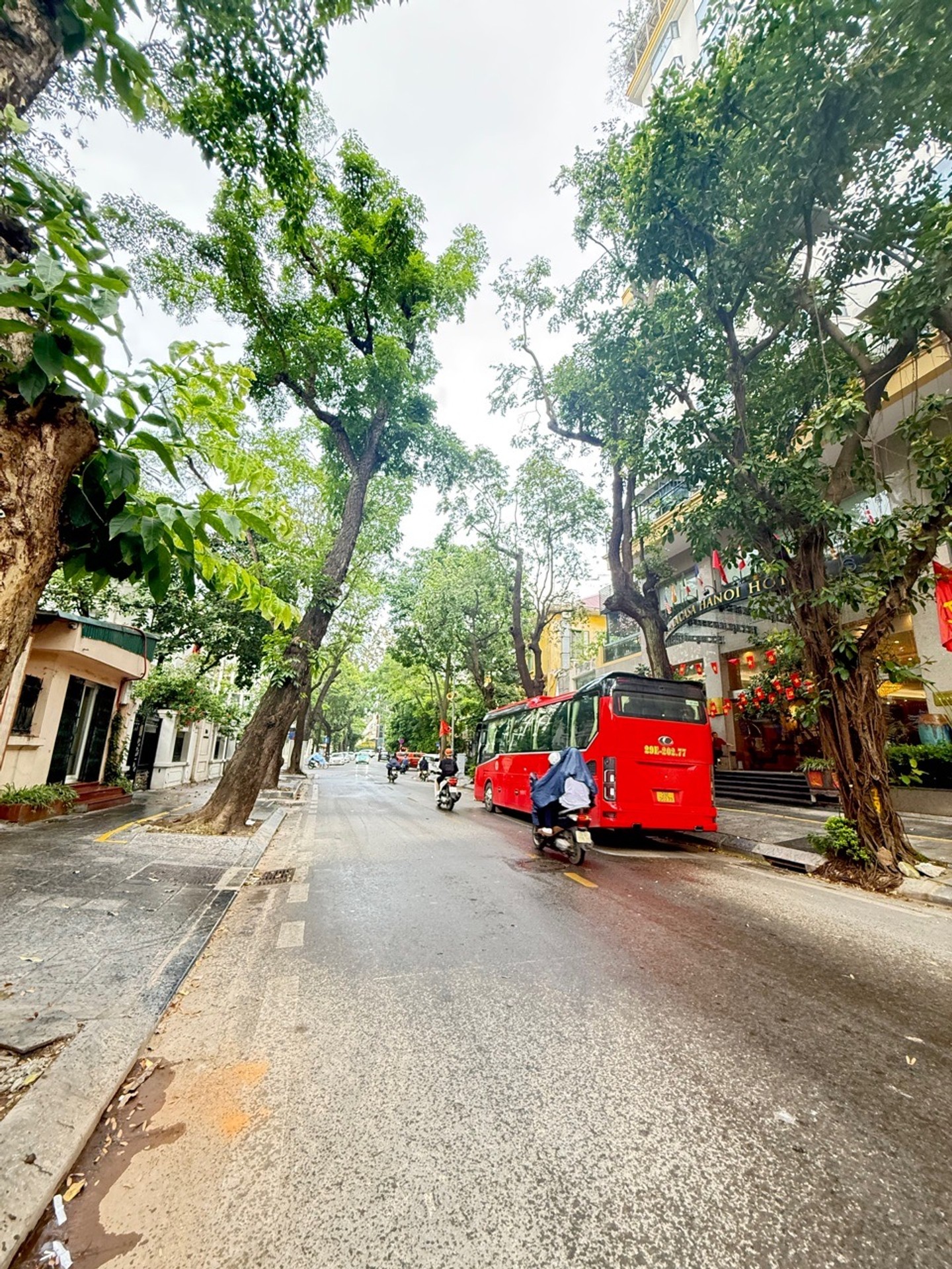 Ảnh đại diện