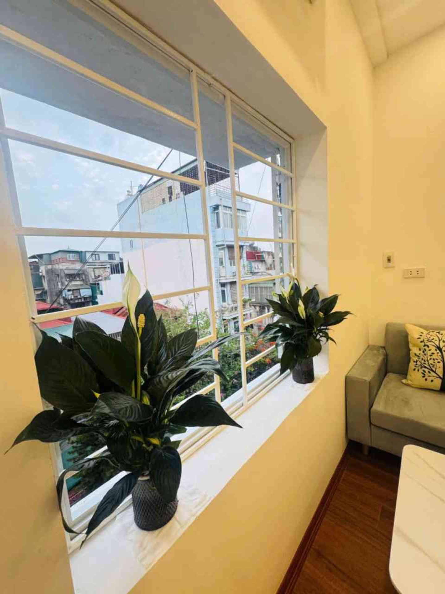 Bán nhà Võ Thị Sáu - diện tích 40m2 1 tầng - Ô tô đỗ cửa - giá 3,1 tỷ