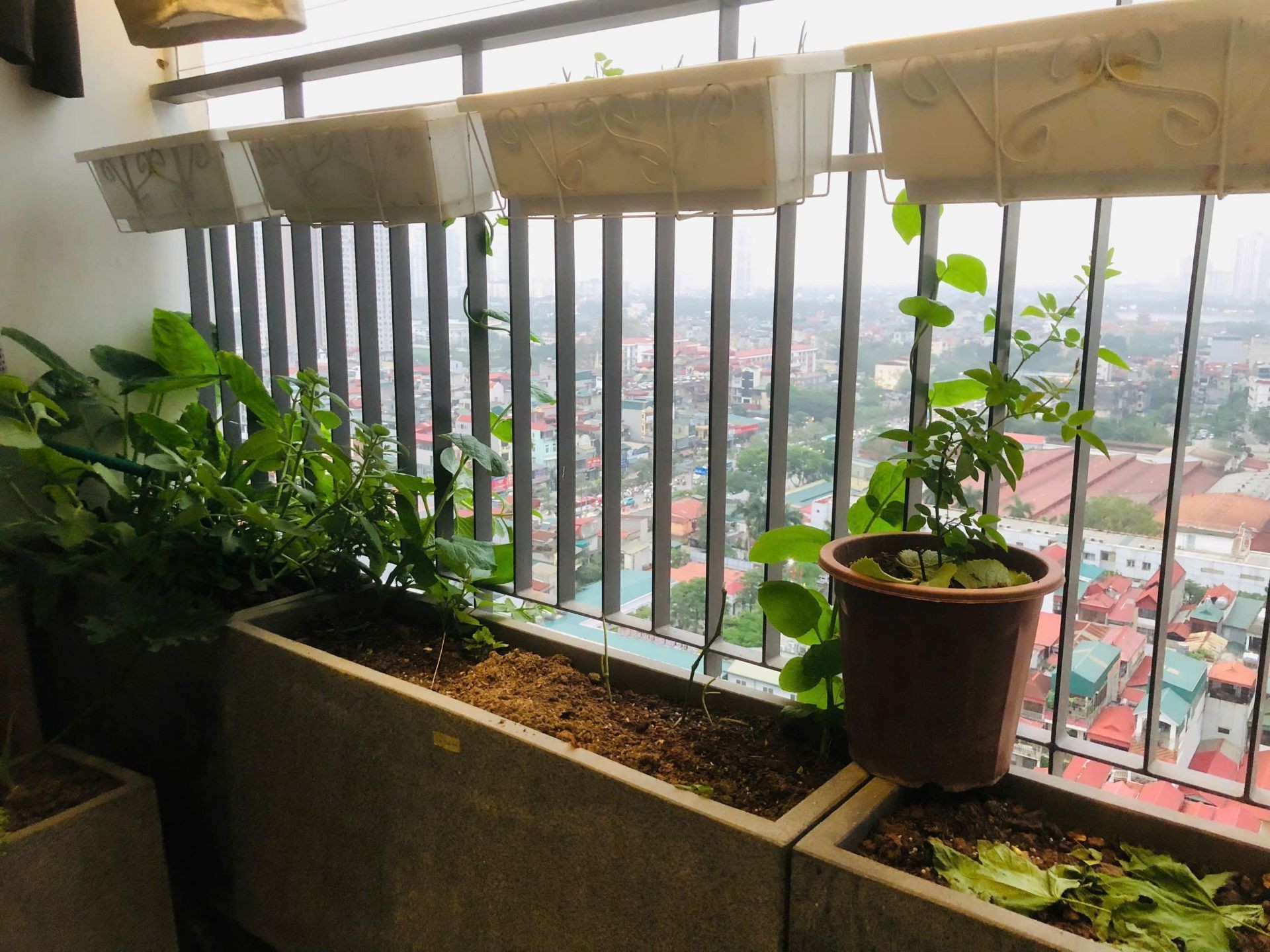 Bán nhà Ngọc Hồi - diện tích 69m2 16 tầng - Căn hộ 2 ngủ - 5,45 tỷ