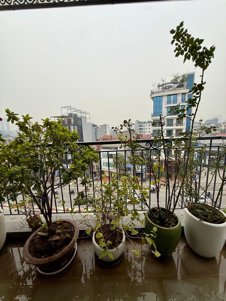 Bán nhà Âu Cơ - diện tích 110m2 7 tầng - Mặt phố kinh doanh - giá 41 tỷ