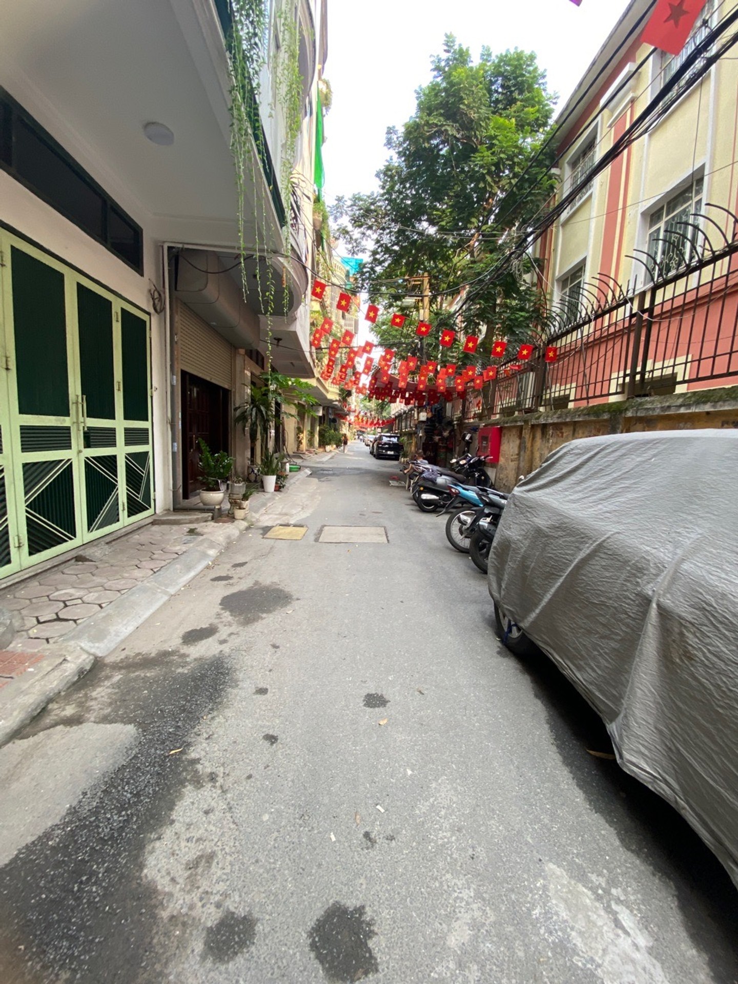 Ảnh đại diện