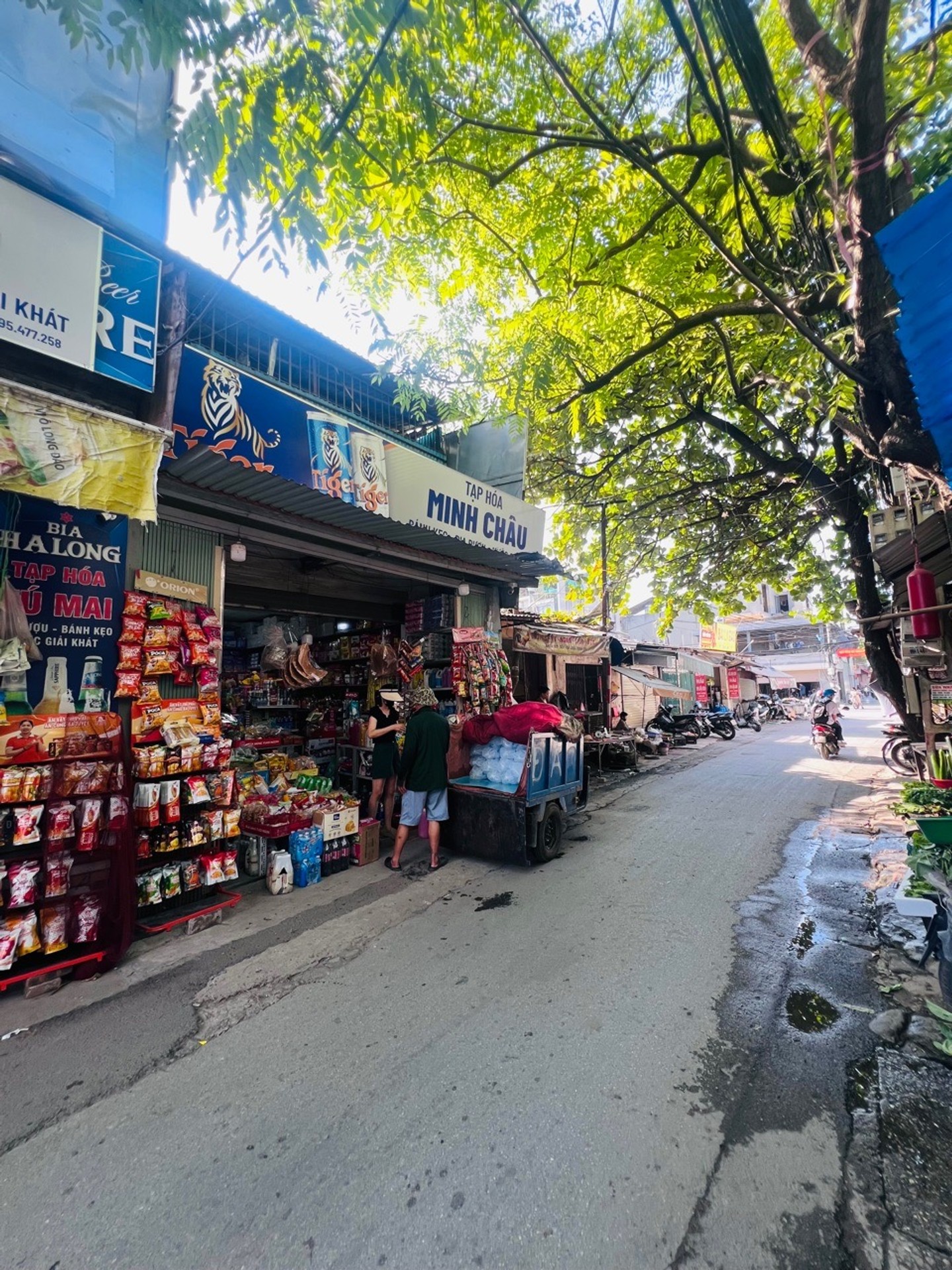 Ảnh đại diện