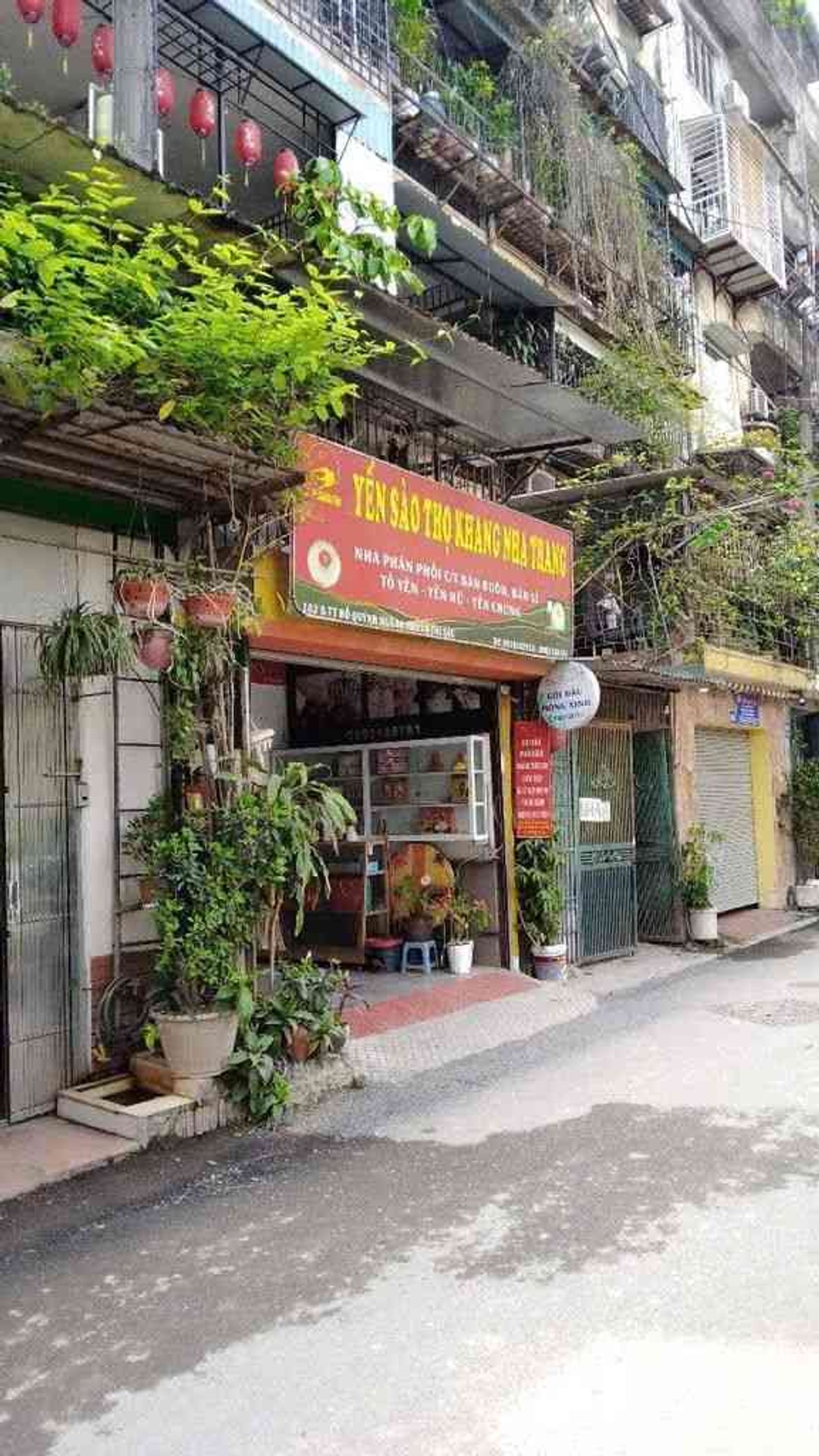 Ảnh đại diện