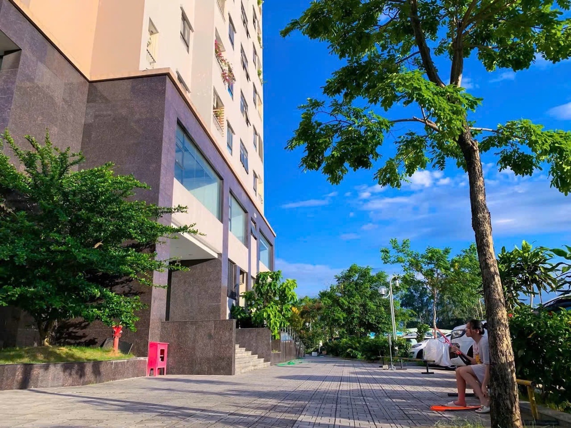 Ảnh đại diện