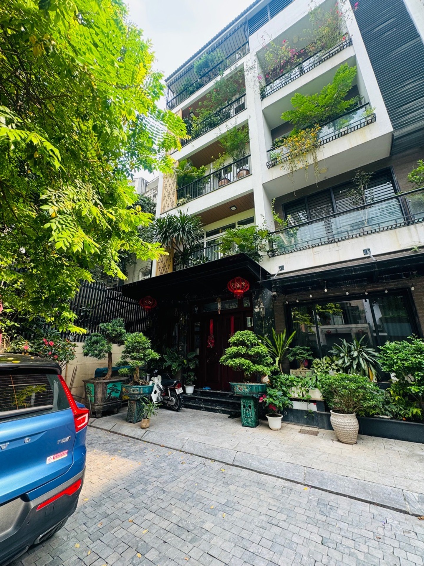 Ảnh đại diện