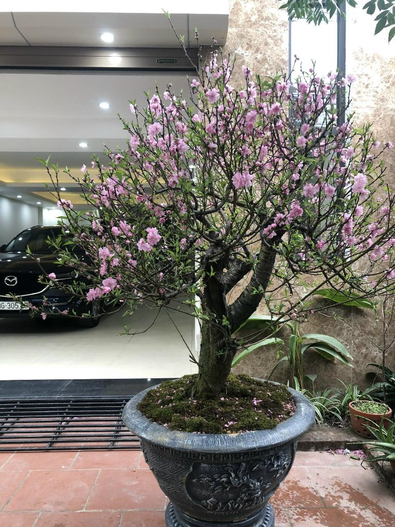 Bán nhà Mai Động - diện tích 106m2 8 tầng - MẶT PHỐ LÔ GÓC, NHÀ MỚI - giá 60 tỷ