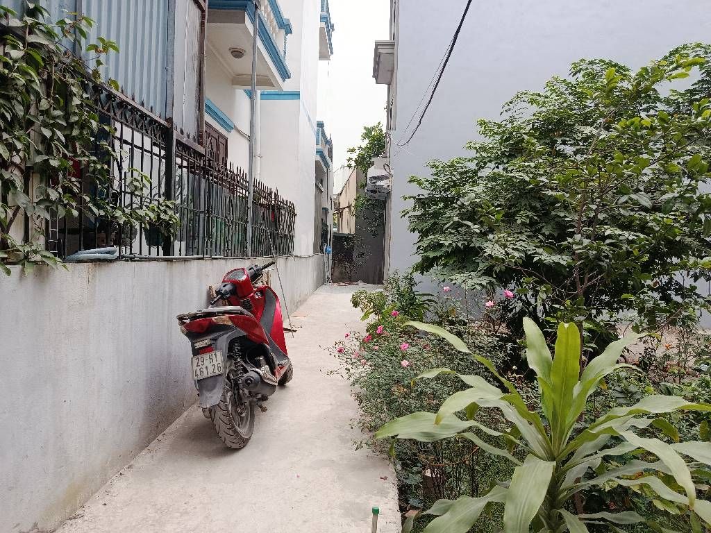 Ảnh đại diện