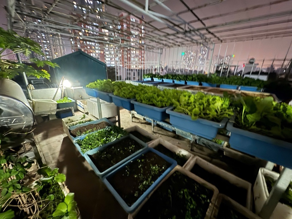 Bán nhà Trung Văn - diện tích 146m2 5 tầng - Biệt thự đơn lập - giá 50 tỷ