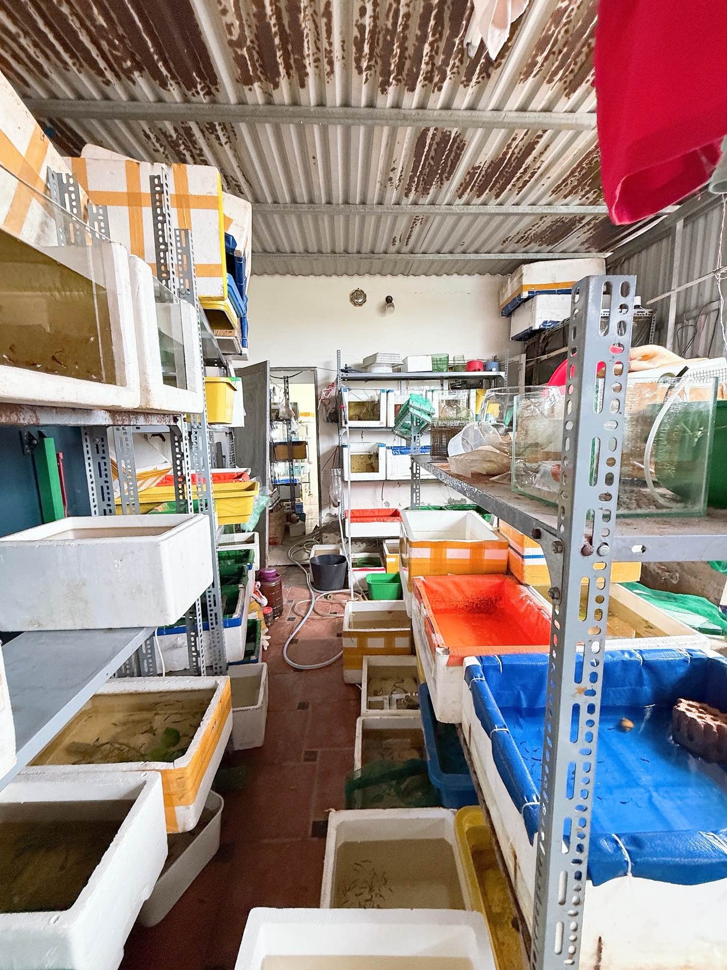 Bán nhà Hoàng Mai - diện tích 42m2 5 tầng - Sổ đỏ chính chủ - giá 7,5 tỷ
