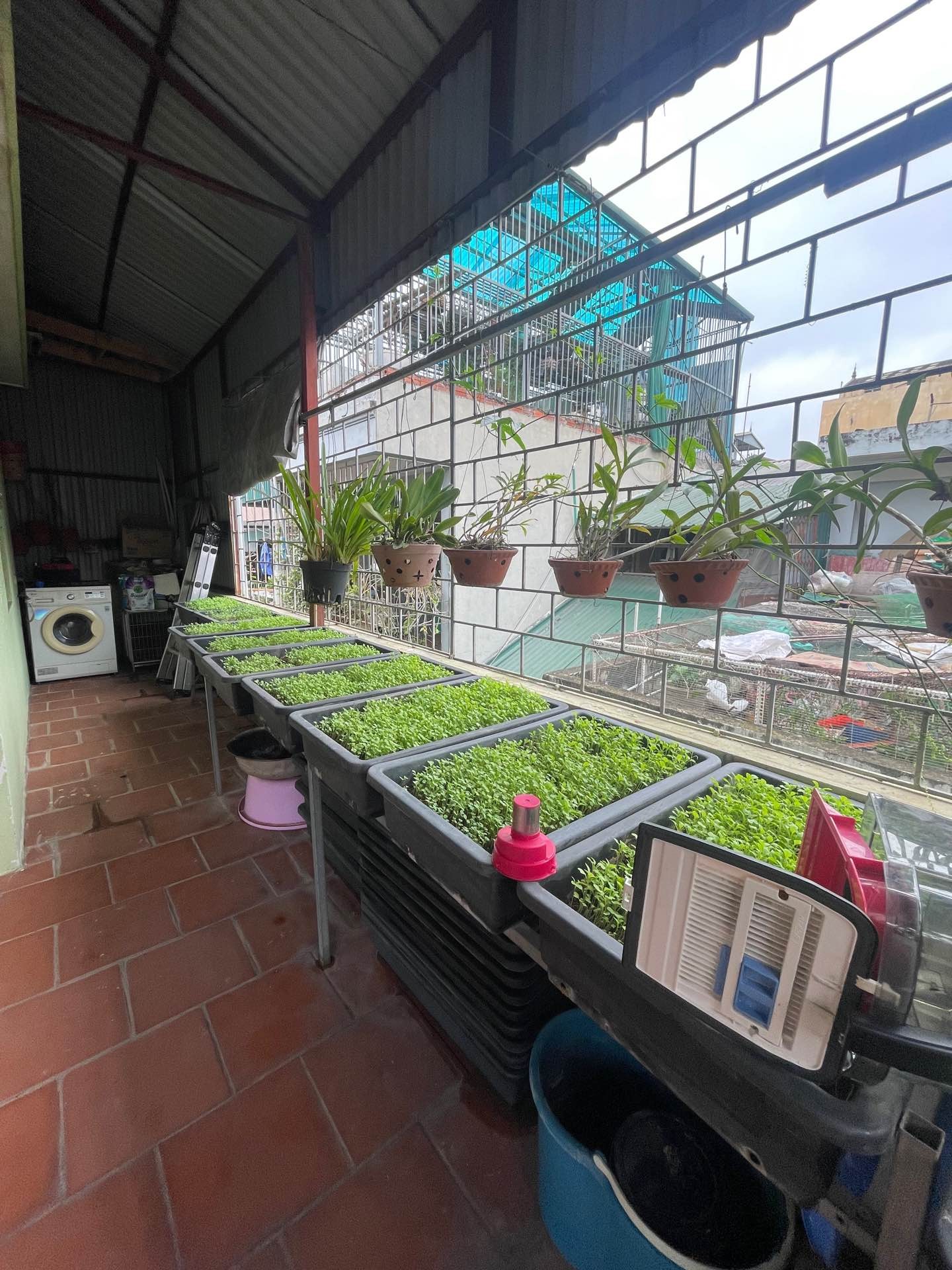 Bán nhà Kim Ngưu - diện tích 45m2 4 tầng - ô tô qua nhà - giá 9,6 tỷ
