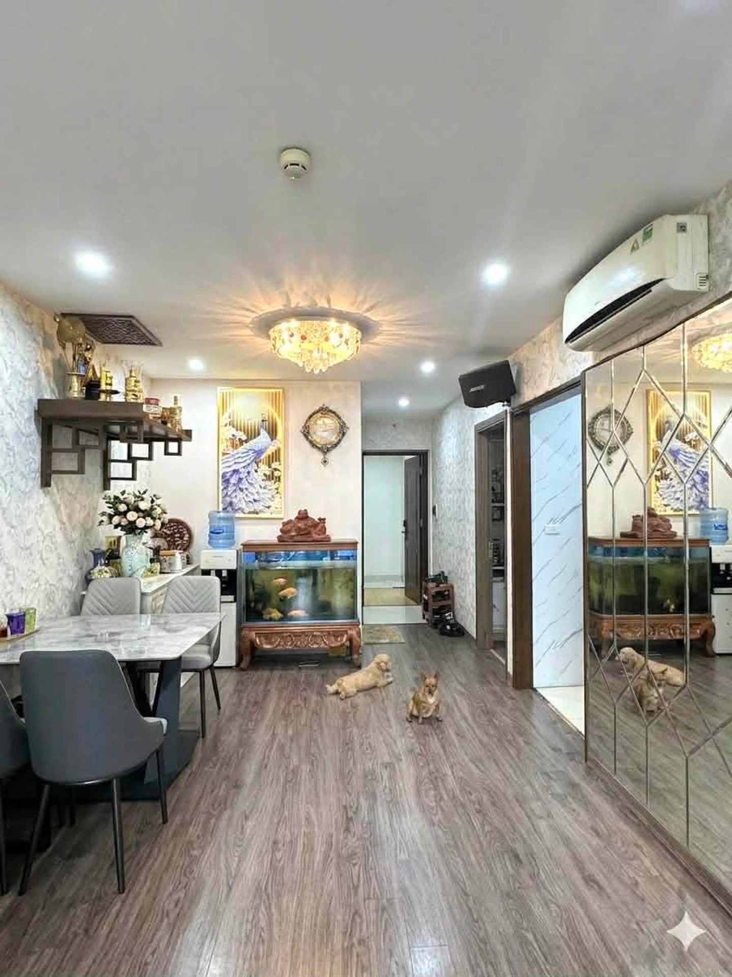 Ảnh đại diện