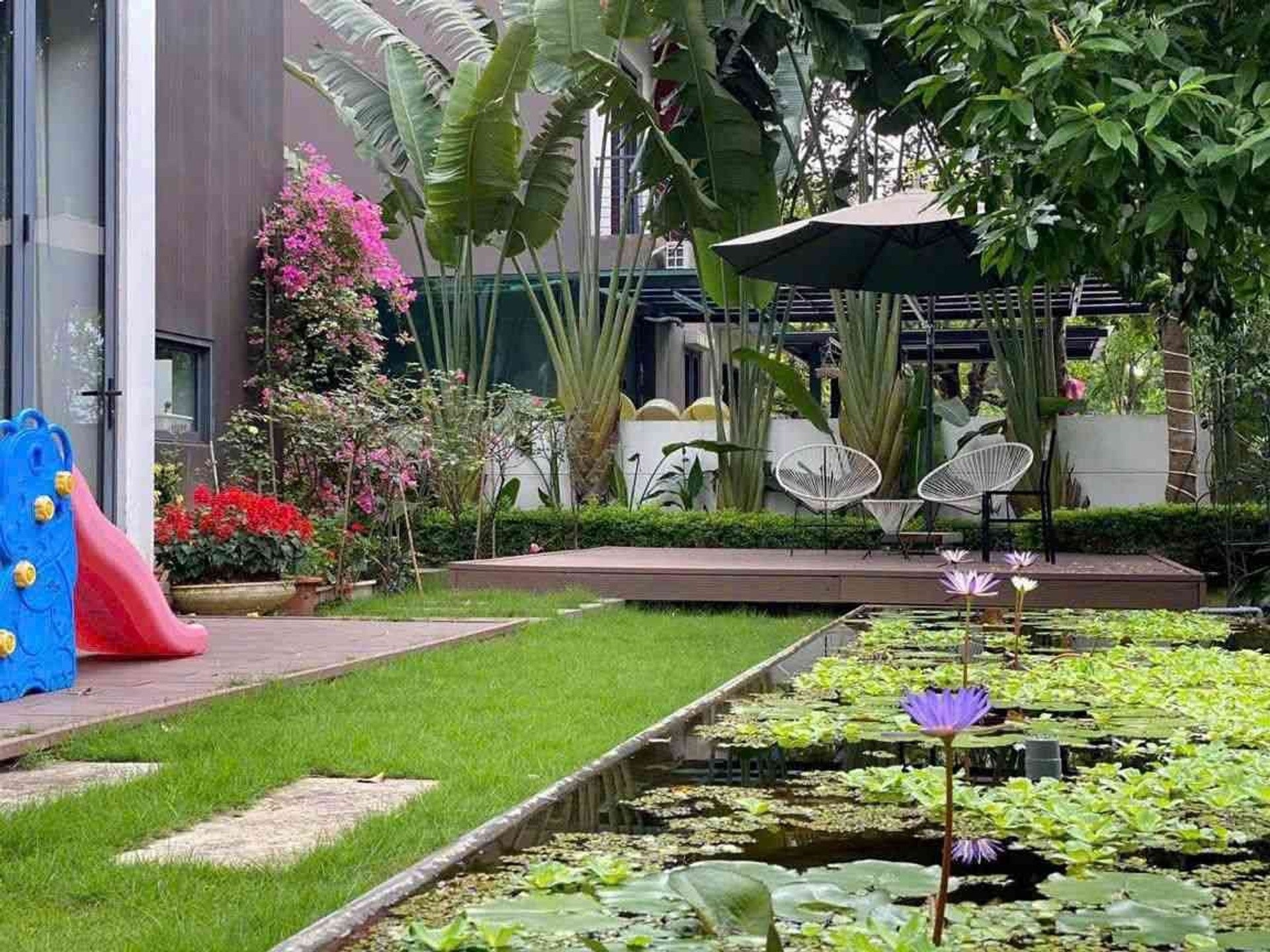 Ảnh đại diện