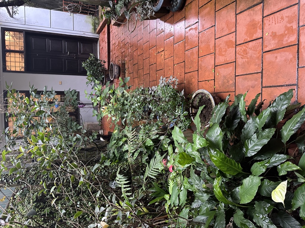 Bán nhà Hồng Hà - diện tích 137m2 4 tầng - Mặt phố sau quy hoạch - giá 30 tỷ