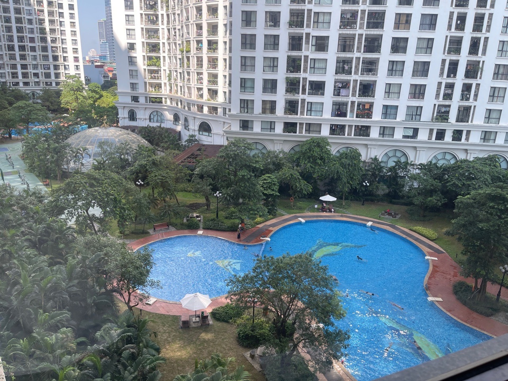 Ảnh đại diện